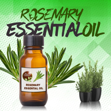 Rosemary essential oil Rosemary essential oil